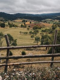 Scenic view of agricultural field against sky