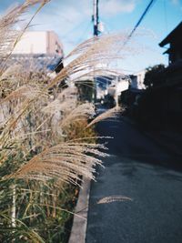 View of road in city