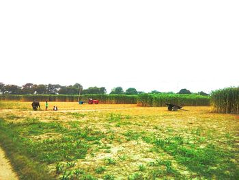 Scenic view of field against clear sky