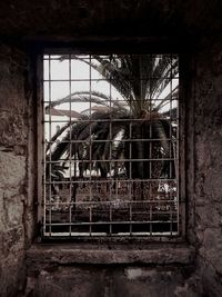 Abandoned house window