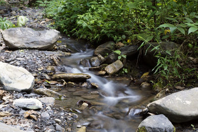 River stream amidst rocks in forest