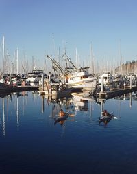 Sailboats moored in harbor