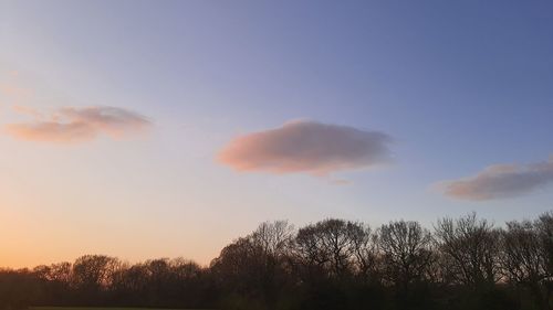 Low angle view of silhouette trees against sky during sunset