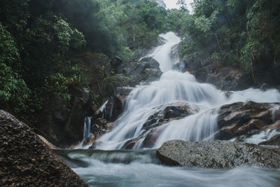 Scenic view of waterfall in forest