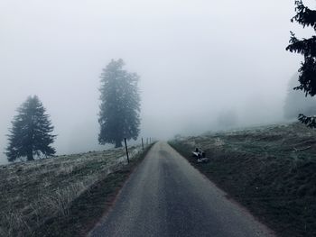 Road amidst trees against sky during winter