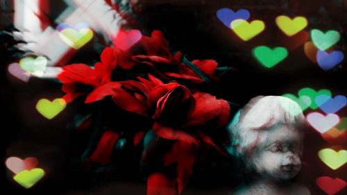 Full frame shot of multi colored flowers