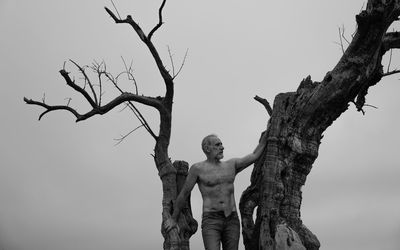 Low angle view of shirtless man on a bare olive tree against sky