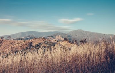 Panoramic view of landscape against sky