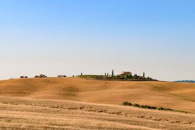 Scenic view of agricultural field against clear sky