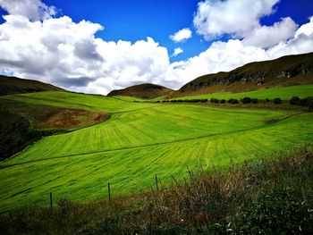 Scenic view of agricultural field against sky