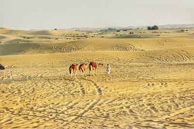 Sand dunes in desert against sky