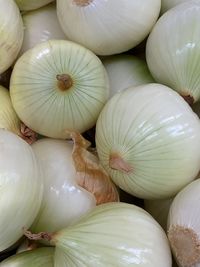 Full frame shot of pumpkins for sale in market