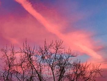 Low angle view of silhouette bare tree against romantic sky