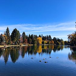 Reflection of trees in lake against sky