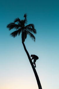 Low angle view of silhouette tree against sky