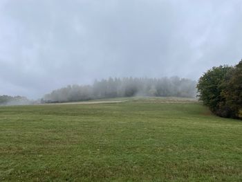 Scenic view of field against sky