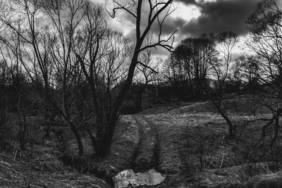 Bare trees on field in forest against sky