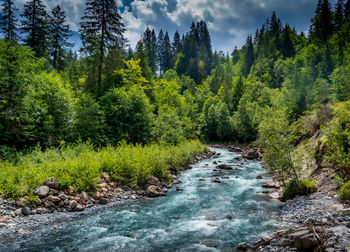 River in alpine scenery