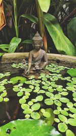 Statue of lizard on plant