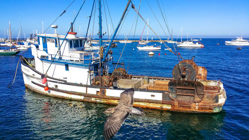 Boats moored at harbor against clear sky