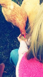 Close-up of woman hand holding bird