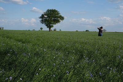 Scenic view of field against sky