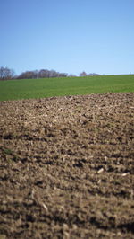 Scenic view of field against clear sky