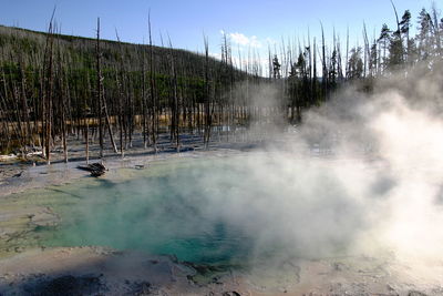 Hot spring at forest