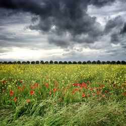 Scenic view of field against cloudy sky