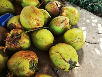 High angle view of fruits