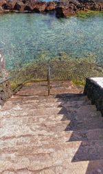 High angle view of trees by water