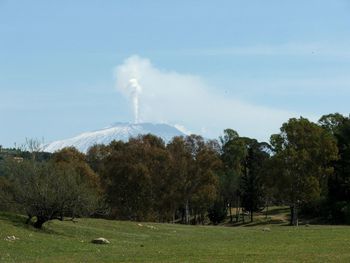 Trees on field against sky and etna gayser 