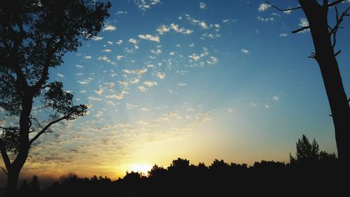 Low angle view of silhouette trees against sky during sunset