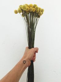 Cropped hand with heart shape tattoo holding yellow flowers against white background