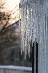 Icicles hanging from roof from poor thermal insulation or spring thaw, snow melting outside building