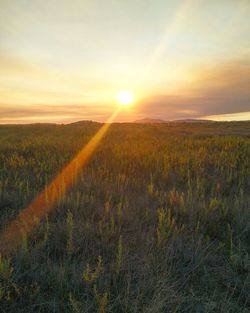 Rural landscape at sunset