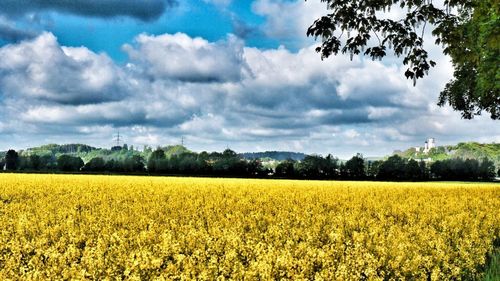 View of field against cloudy sky