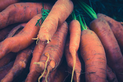 Full frame shot of carrots for sale at market