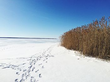 Snow covered field against clear blue sky