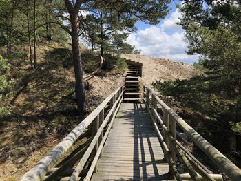 Wooden footbridge along sand dunes and  trees in forest