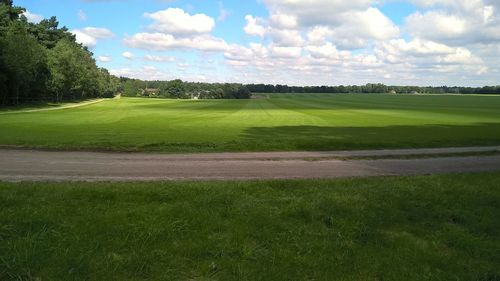 Scenic view of grassy field against sky