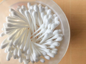 High angle view of white flower in bowl on table