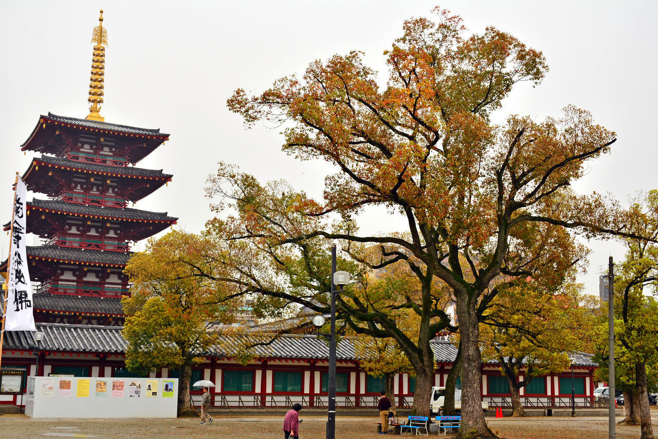 VIEW OF TREES IN CITY