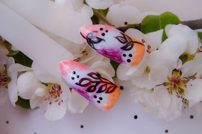 Close-up of butterfly on white flowers