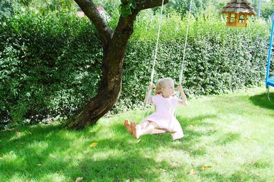 Girl playing with dog sitting on grass