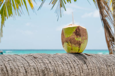 Close-up of coconut cocktail on palm tree by sea against sky