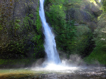 Waterfall in forest