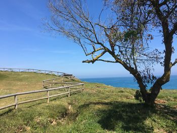 Tree on field by sea against sky