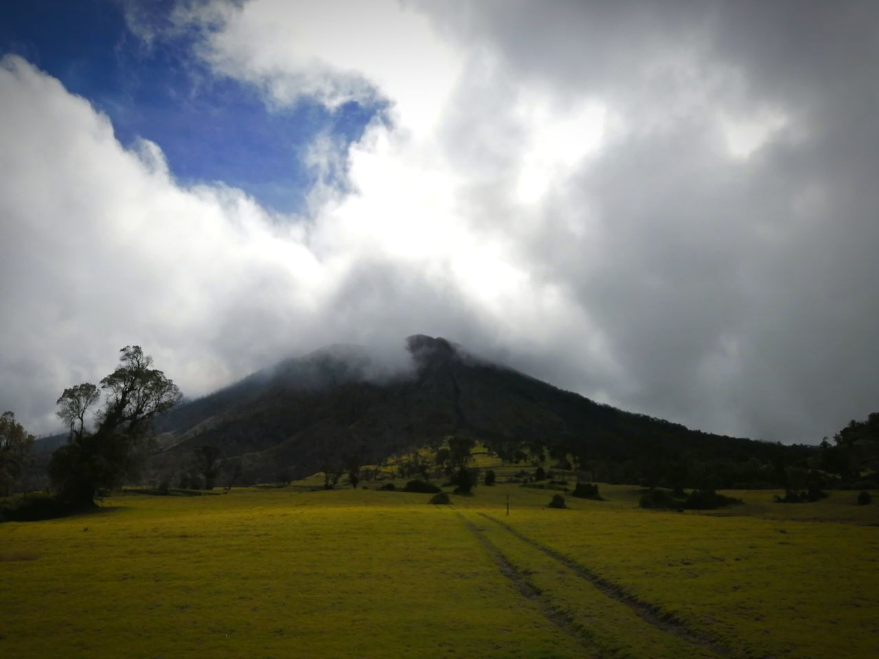 cloud - sky, sky, landscape, environment, beauty in nature, scenics - nature, tranquil scene, tranquility, mountain, nature, no people, grass, non-urban scene, plant, day, outdoors, land, field, green color, mountain peak, mountain range