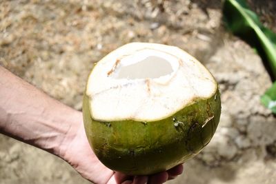 Close-up of hand holding apple